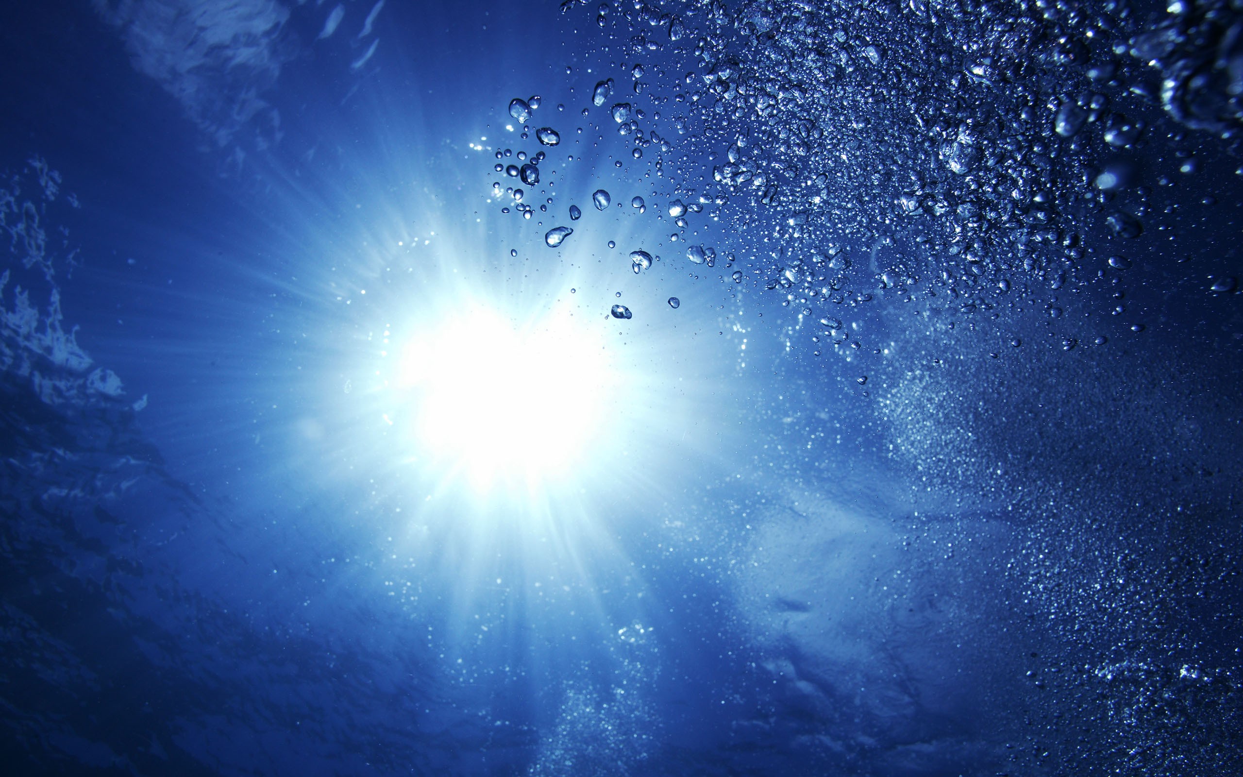 不是每个运动员都上过这堂课，每个人都是运动员